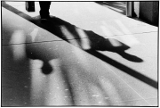 Twin Shadows