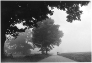 Foggy Morning, New Wilmington, Pennsylvania