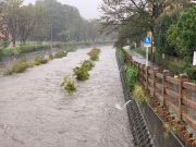 Typhoon Hagibis