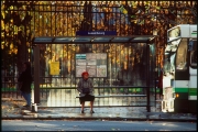 Bus Stop