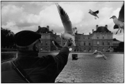 Feeding the Birds