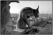 Gargoyle