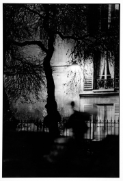 Night In the Marais